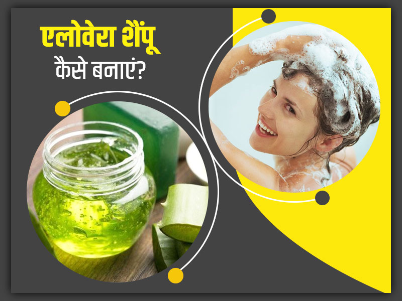 एलोवेरा शैंपू कैसे बनाएं? जानें इस शैंपू से बालों को मिलने वाले ढेर सारे फायदे
